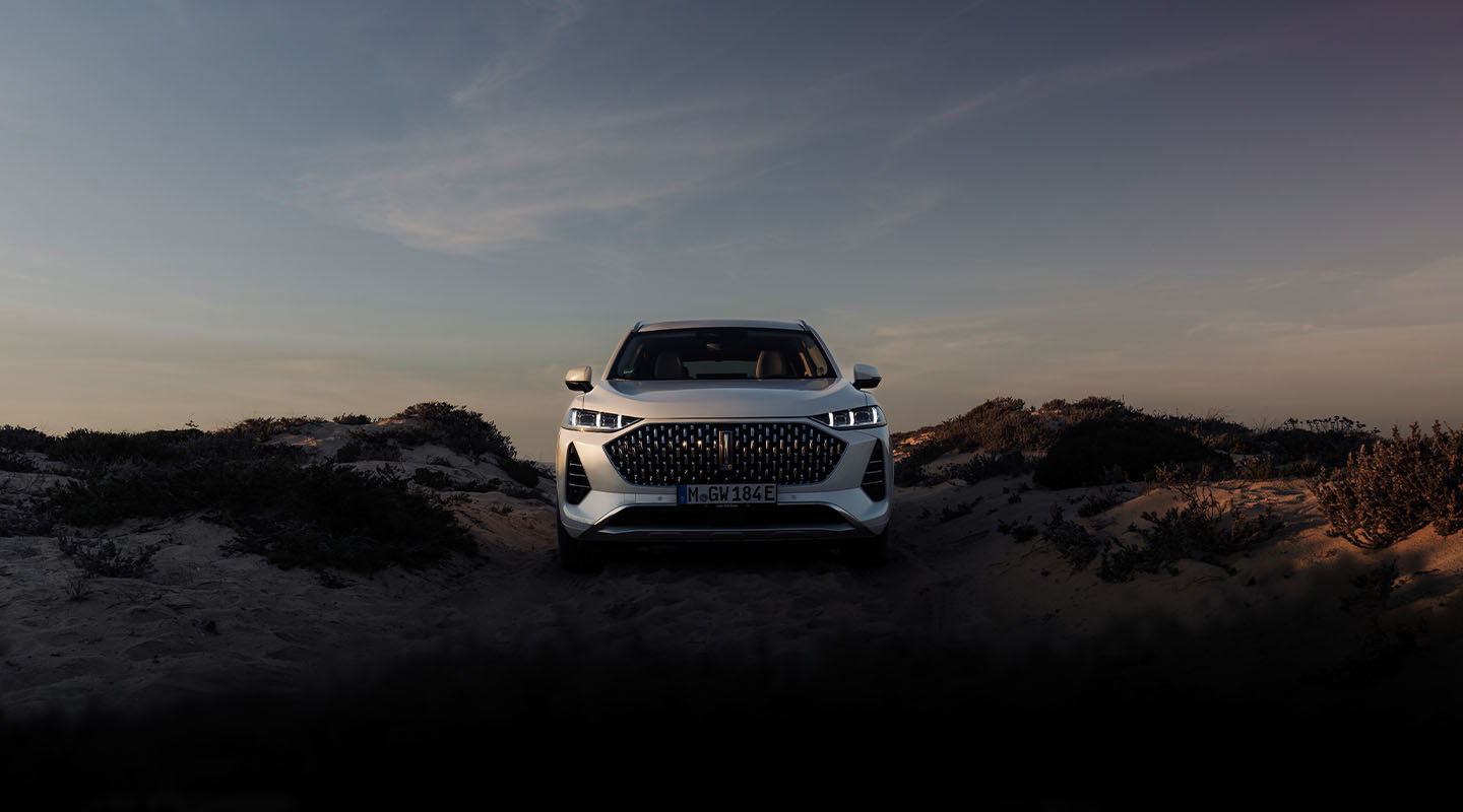 a white wey coffee 01 car photographed from the front standing in the dunes