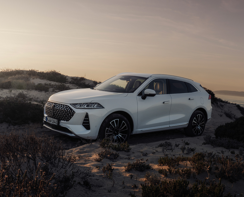 a white wey coffee 01 car photographed from the front left angle standing in the dunes