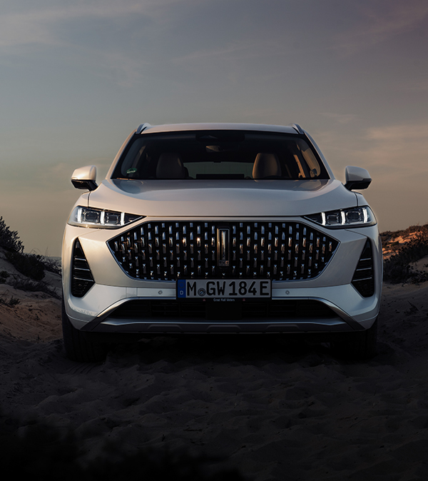 a white wey 05 car photographed from the front standing in the dunes